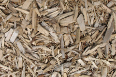biomass boilers Bogmoor